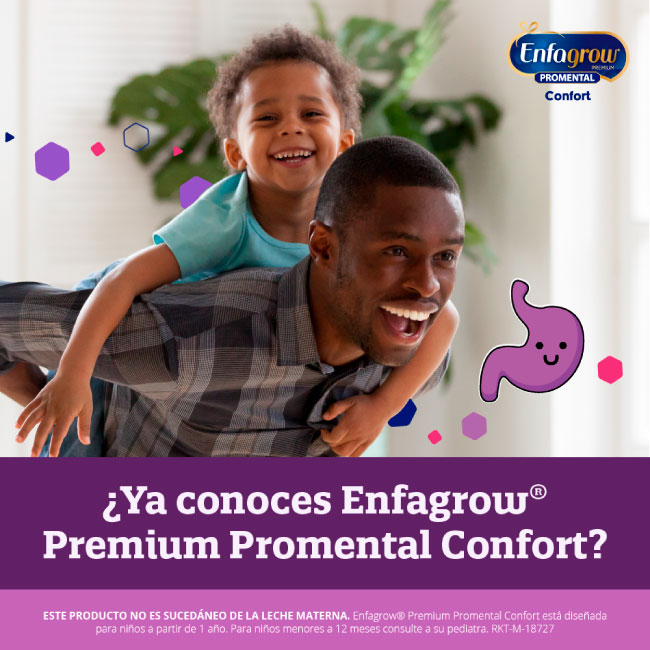 Fórmula Infantil Enfamil Confort - Lata de 375g - Peque Ayuda