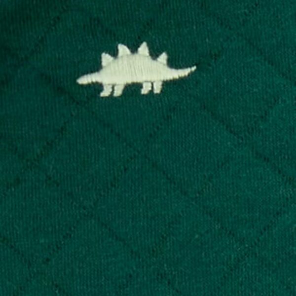 Set de 3 piezas Carters chaleco dinosaurio 12m dinosaurio