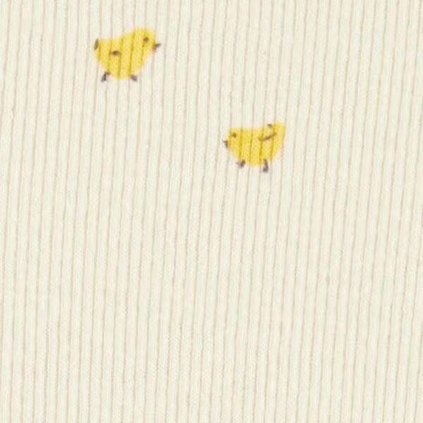 Set de 2 piezas Carters pantalón corto verde 12m pollos