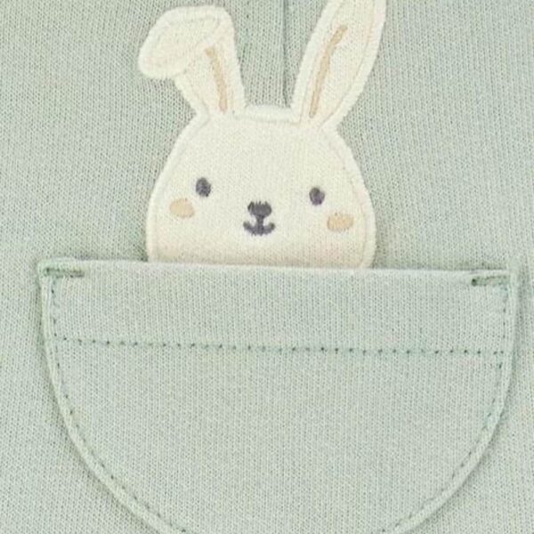Set de 2 piezas Carters pantalón corto verde 12m conejo