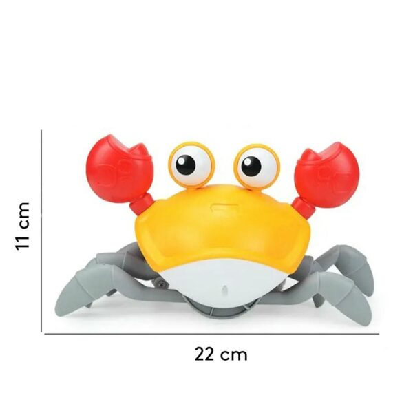 Cangrejo Musical Naranja Prime medidas