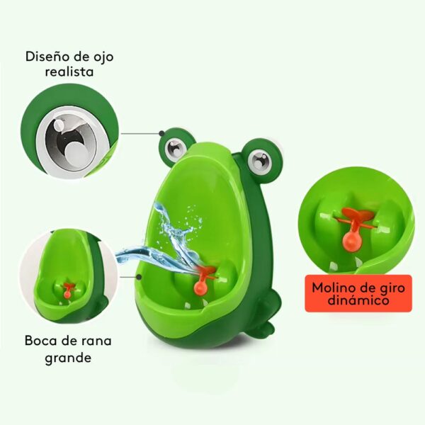 Urinario de Sapo Verde (Vasenilla) Prime partes