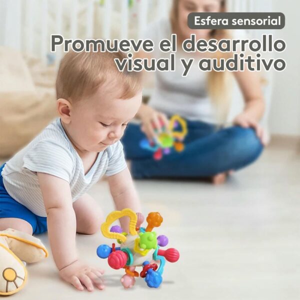 Esfera Sensorial Para La Dentición de Bebés Úpale desarrollo
