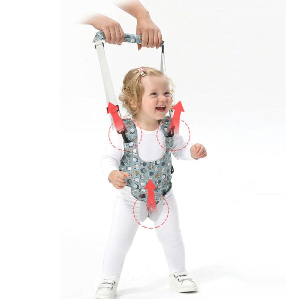 Arnés Caminador Buho Xplorer Celeste Creciendo Juntos partes
