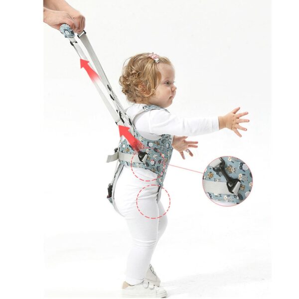 Arnés Caminador Buho Xplorer Celeste Creciendo Juntos correas bebé niña