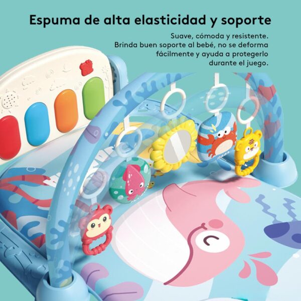 Gimnasio Ballena Celeste Creciendo Juntos espuma
